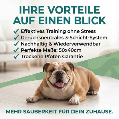 Hundetoilette mit Kunstrasen & Auffangschale