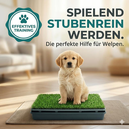 Hundetoilette mit Kunstrasen & Auffangschale