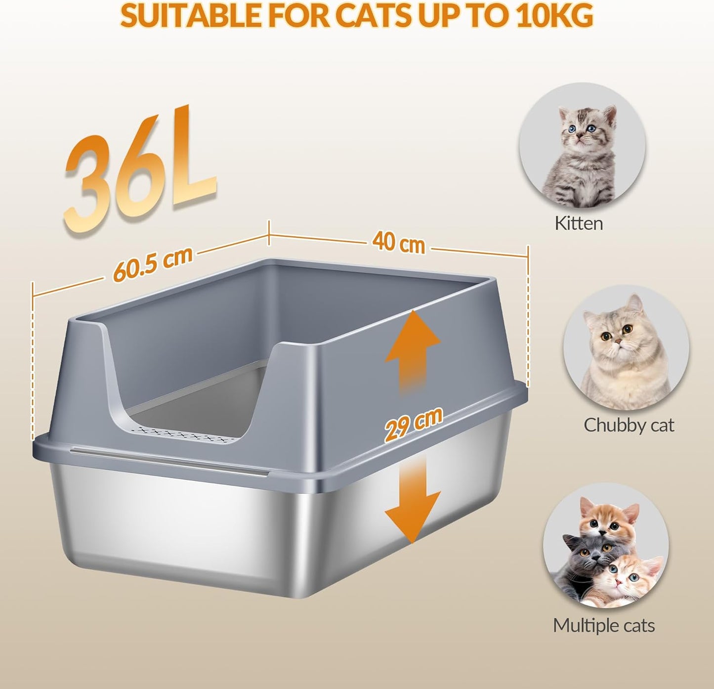 Stainless Steel Cat