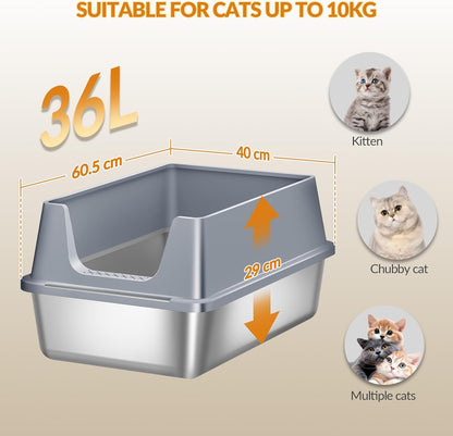 Stainless Steel Cat