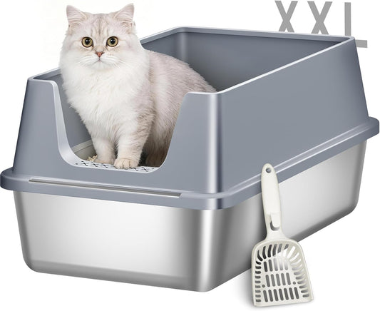 Stainless Steel Cat