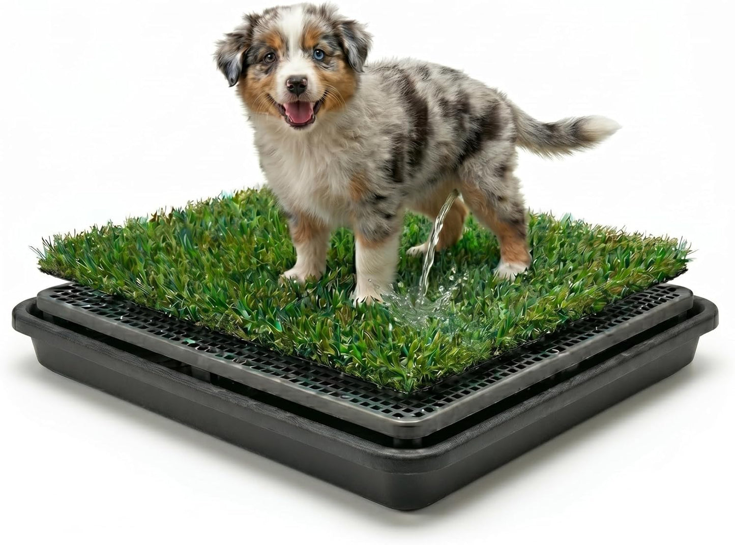 Hundetoilette mit Kunstrasen & Auffangschale